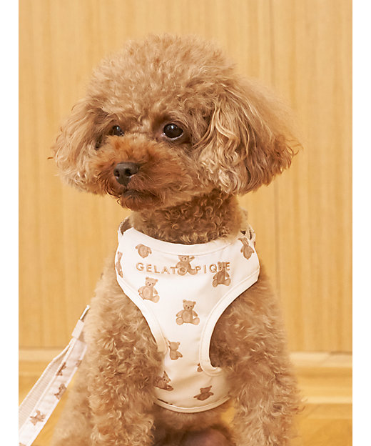 CAT＆DOG】背中あきハーネス | gelato pique (Women)/ジェラート