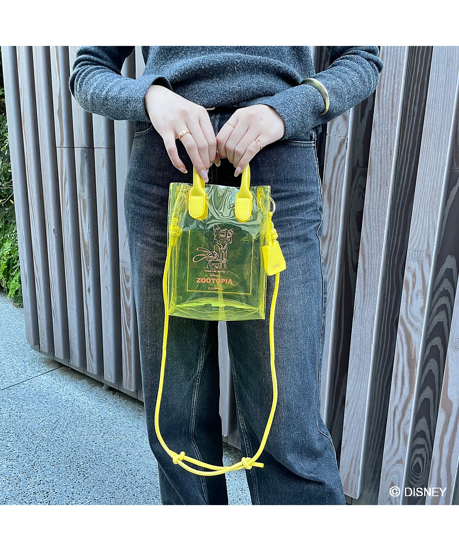 ☆＜ACCOMMODE＞【三越伊勢丹限定】ディズニー／カラップ