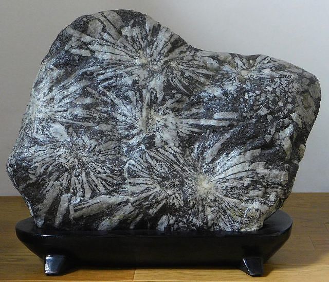 山水石美術館」 全国の水石・美石を紹介 土佐菊花石・多摩菊花石