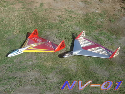 ラジコン飛行機 超珍品スロープグライダーキット スパン2m ラジコン