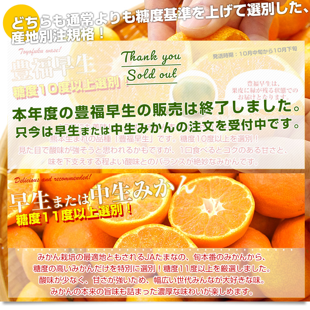 熊本県 JAたまな 糖度選別みかん 約2キロ×2箱 MからSSサイズ (合計40玉