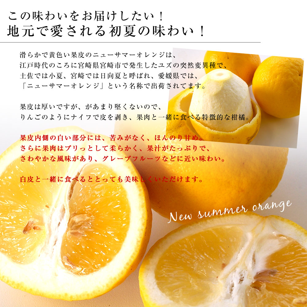 愛媛県より産地直送 JAにしうわ ニューサマーオレンジ ご家庭用 5キロ