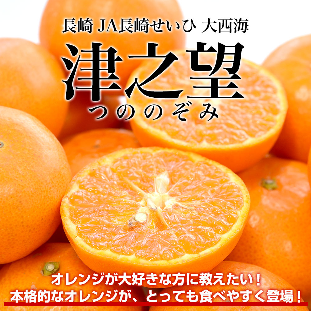 長崎県より産地直送 JA長崎せいひ 津之望(つののぞみ) 2LからSサイズ