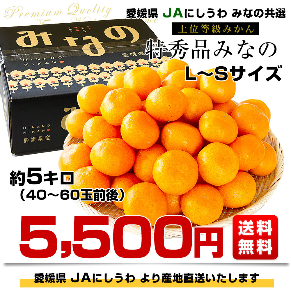 愛媛県より産地直送 JAにしうわ みなの共選 上位等級みかん「特秀品