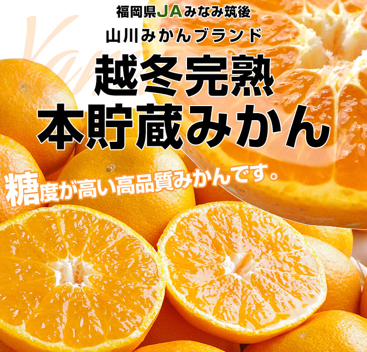 福岡県より産地直送 JAみなみ筑後 山川みかん 越冬完熟 本貯蔵みかん