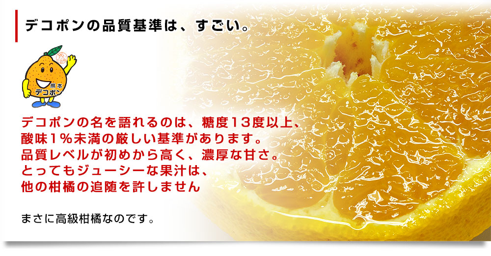 熊本県から産地直送 JAあまくさ デコポン 3L 5キロ (18玉) でこぽん