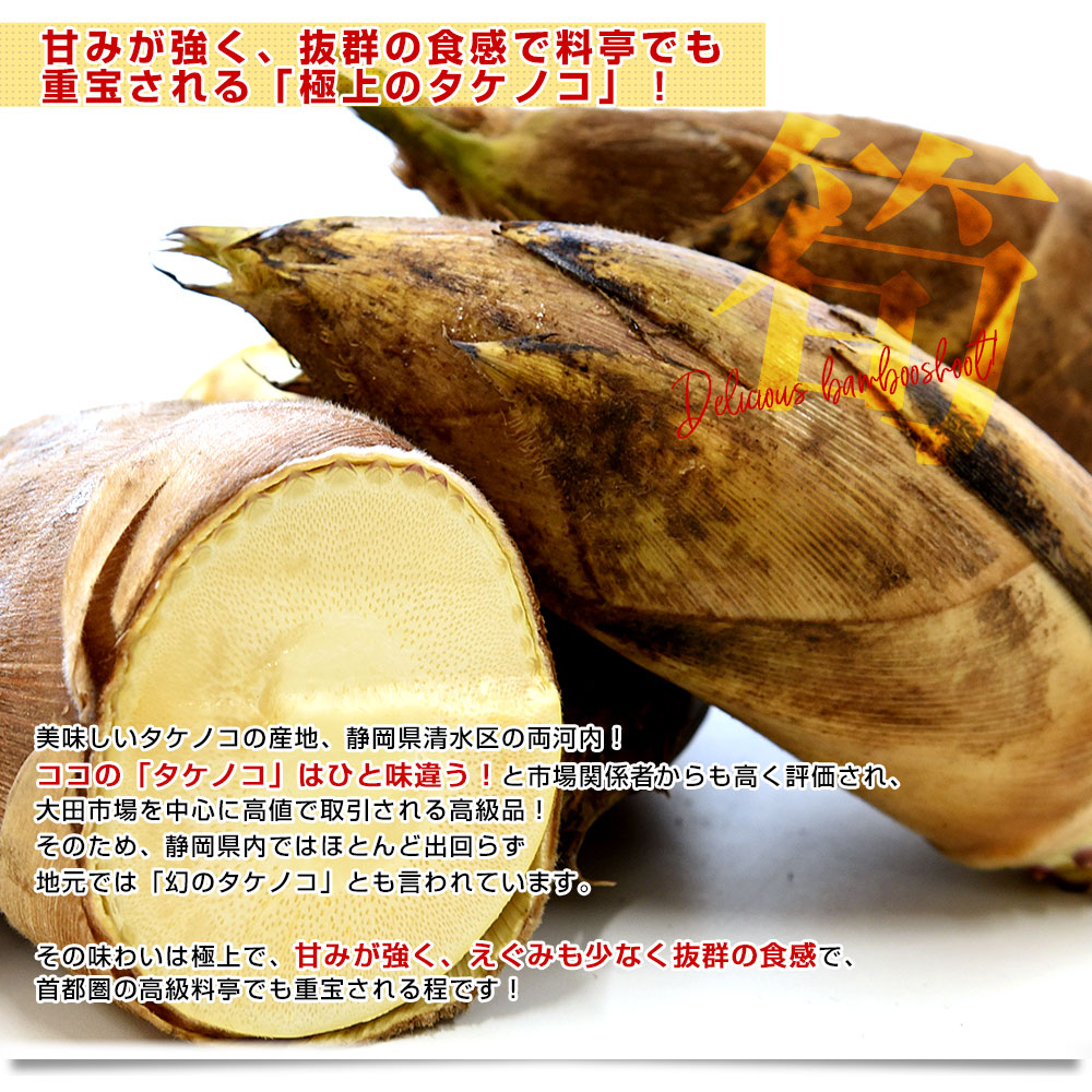静岡県清水区産 丸共岡崎商店 両河内のたけのこ 約2キロ Lサイズ(5本
