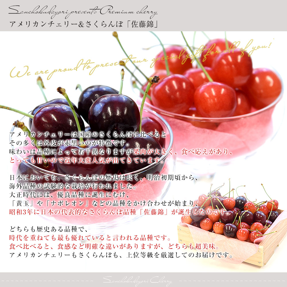 遅れてごめんね母の日】チェリー食べ比べギフトBOX アメリカンチェリー
