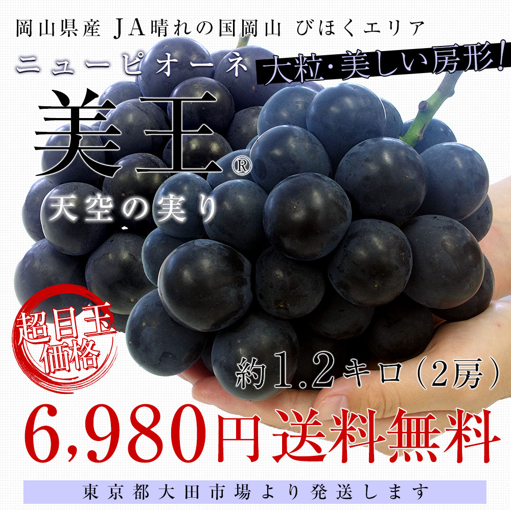 岡山県産 JA晴れの国岡山 びほくエリア ニューピオーネ 天空の実り「美