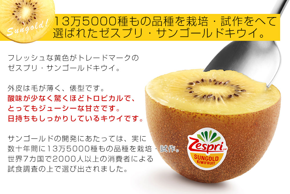 ニュージーランド産 ゼスプリ・オーガニックキウイ（サンゴールド） 1