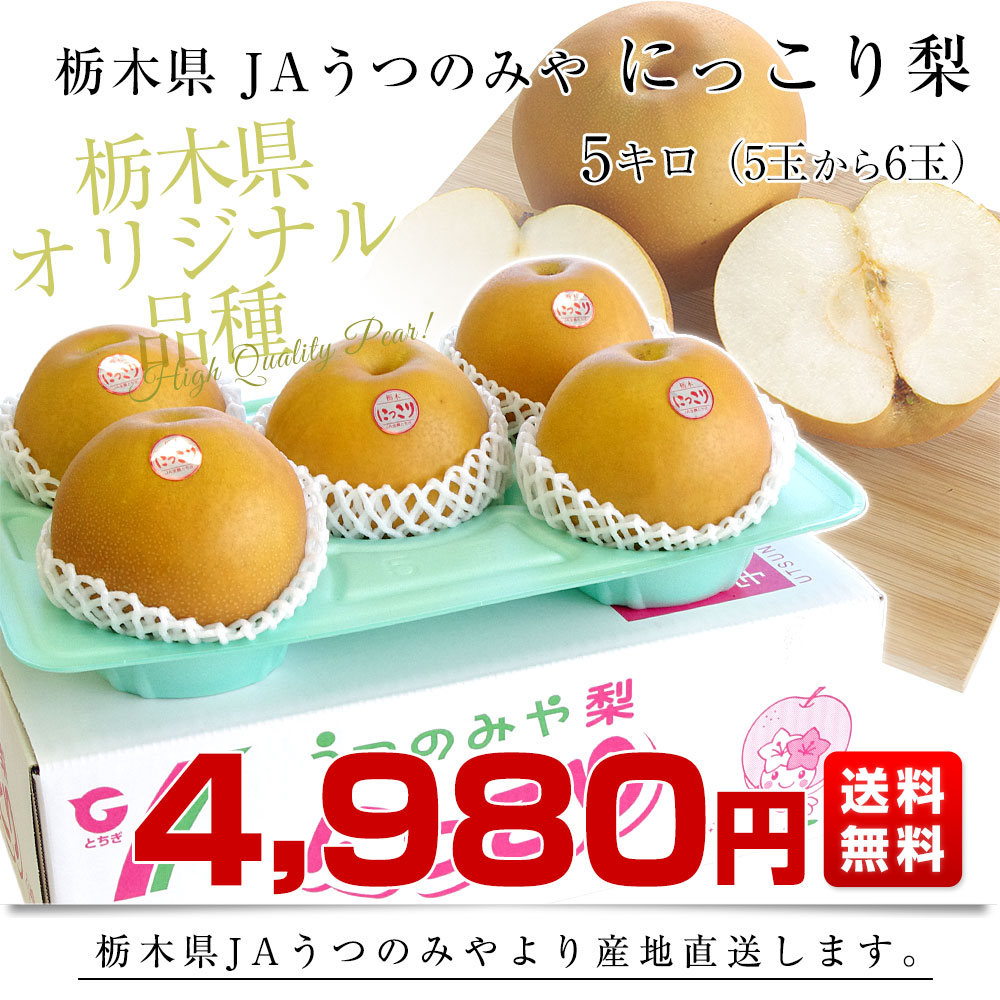 栃木県より産地直送 JAうつのみや 栃木県オリジナル品種 にっこり梨 5