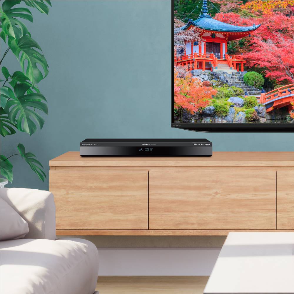 4B-GT3シリーズ | レコーダー：シャープ