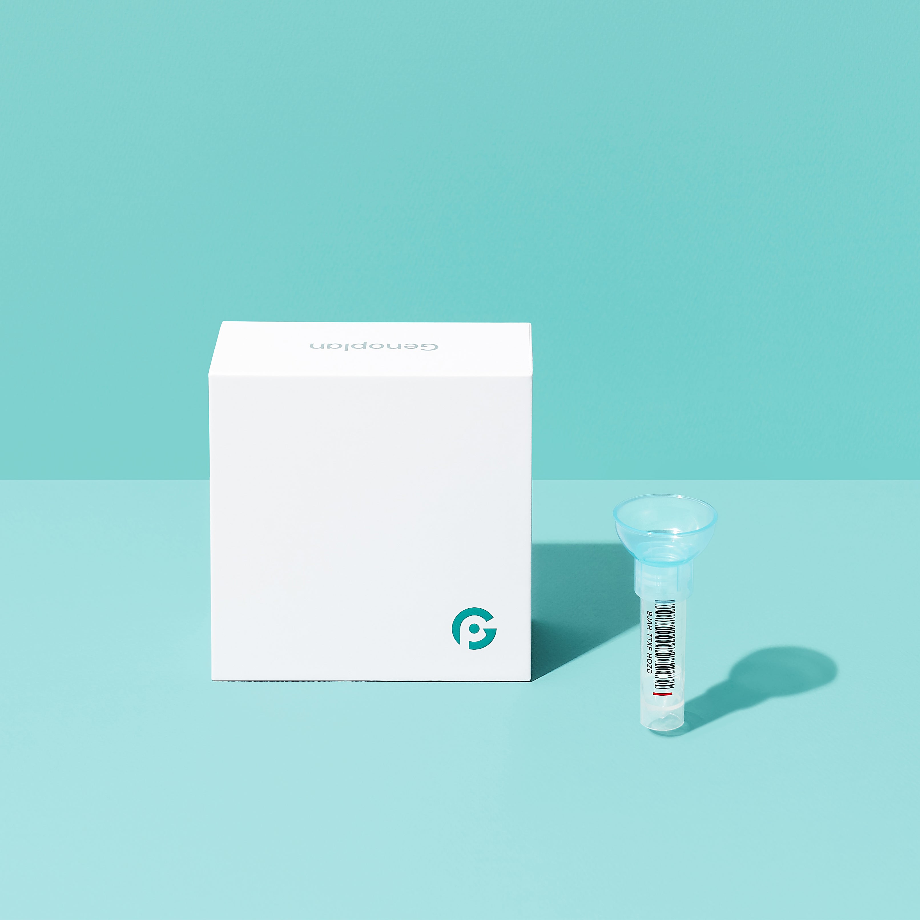 003.jpg?v=1738547384&width=1920