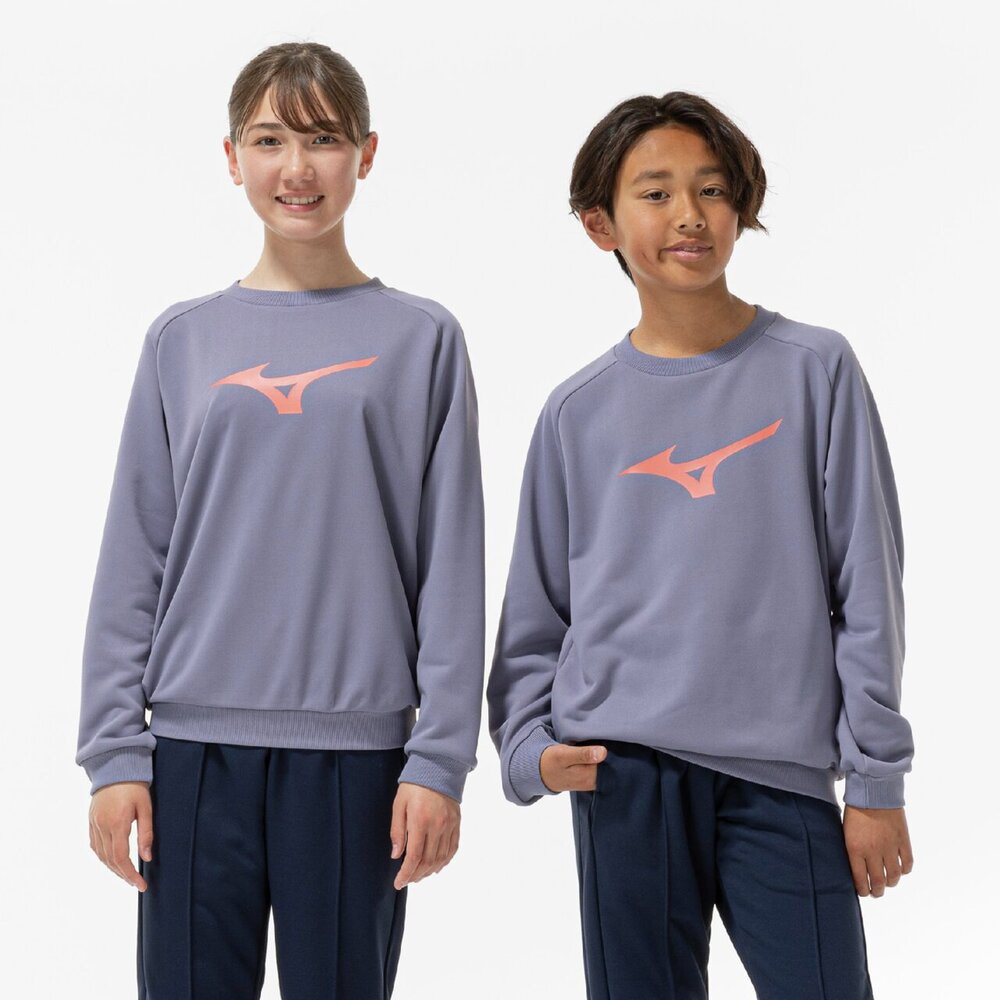 ソッカンスウェットクルーネック|32MCC966|ミズノトレーニング