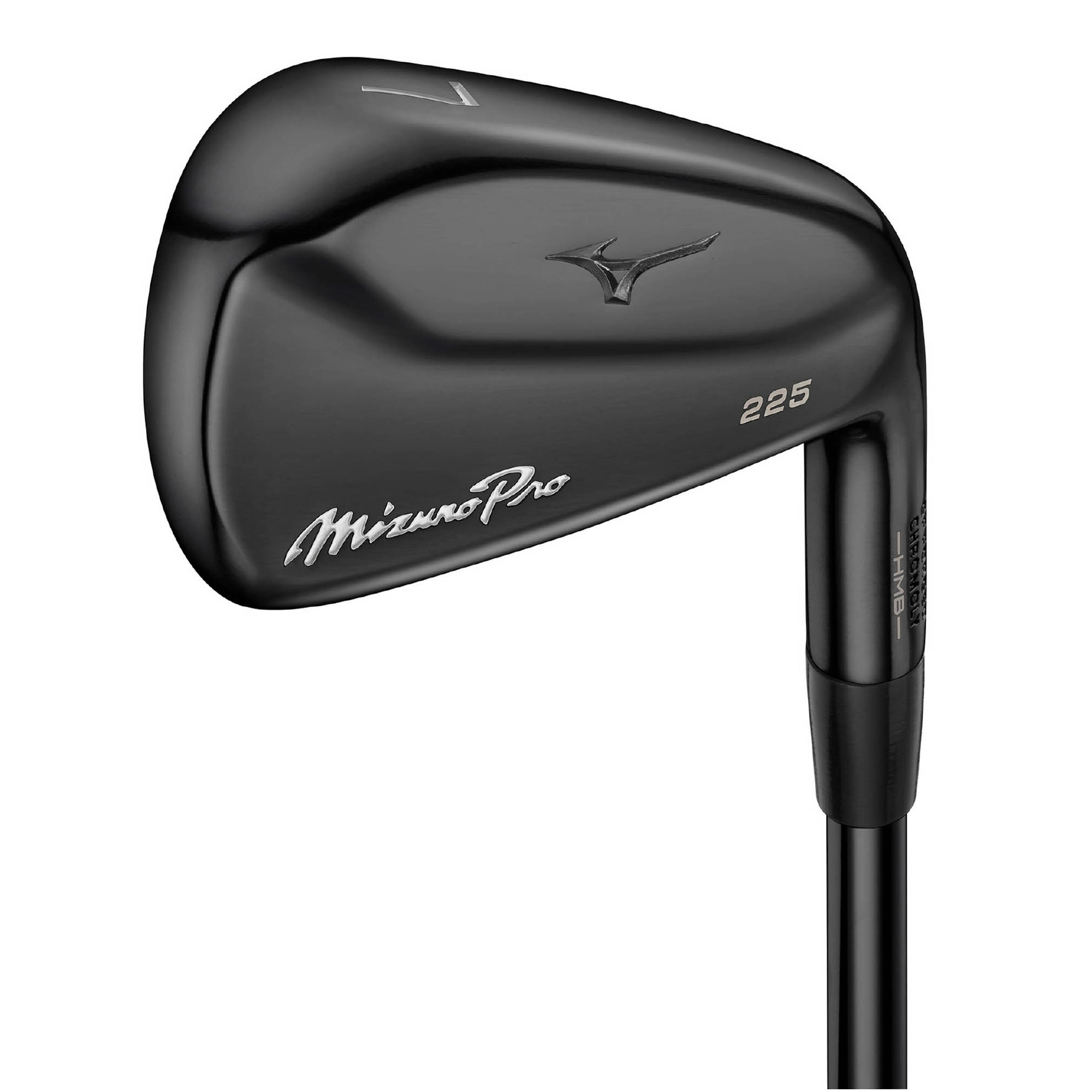 Mizuno Pro 225 アイアン／ブラックIP（N.S.PRO MODUS3 TOUR115 10th