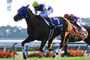 JRAホームページ｜データファイル｜競走成績データ