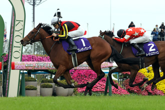 2023年 エリザベス女王杯 JRA