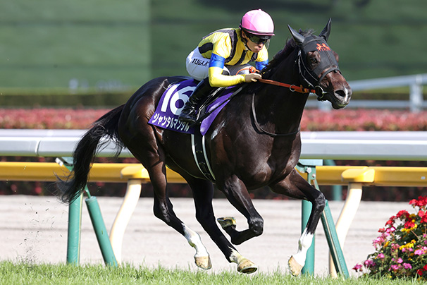 2024年 NHKマイルカップ JRA