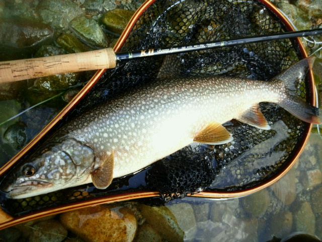 KⅡ Bonny Lynx 14ft #7/8 Varied Spey KⅡ－Bonny Lynx 14ft #7/8 480