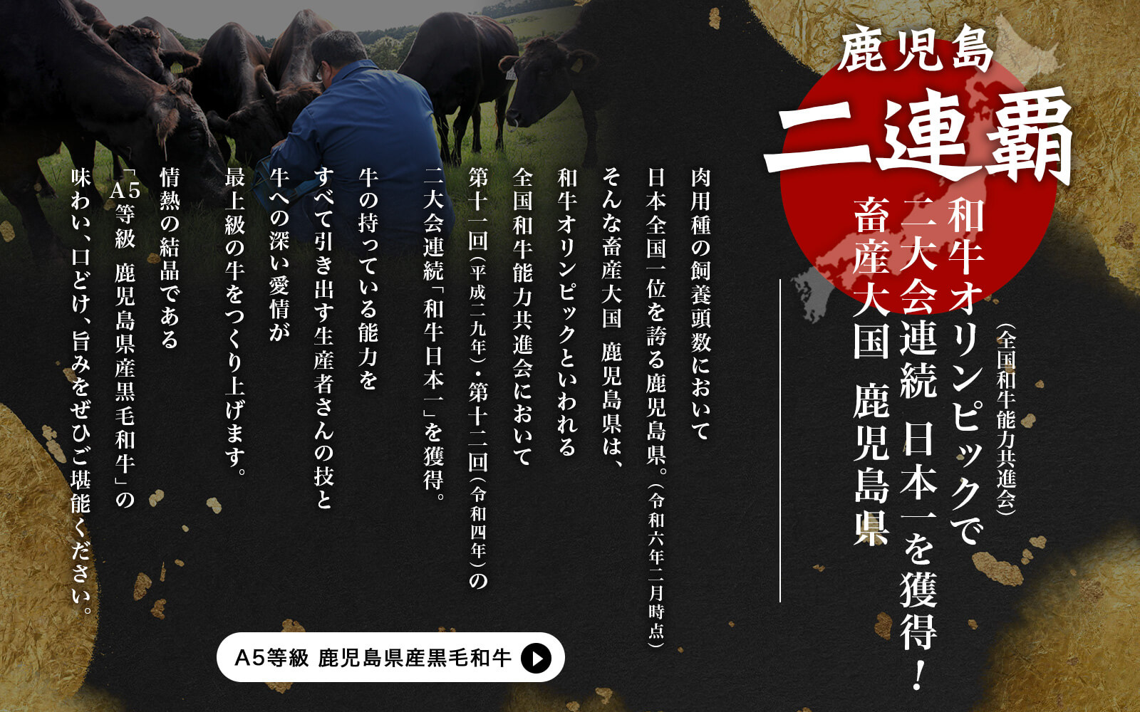 送料無料】伊佐牧場 アイスセット(ミルク・塩レモン・抹茶) 計6個(80g