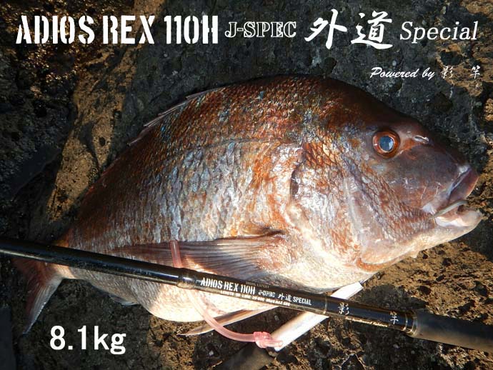 ADIOS REX 110H J-spec 外道Special 影竿