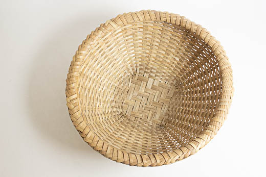 沖縄 ホウライチク バーキ (大)