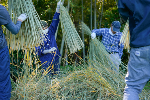 宮崎 わら細工たくぼ 宝珠