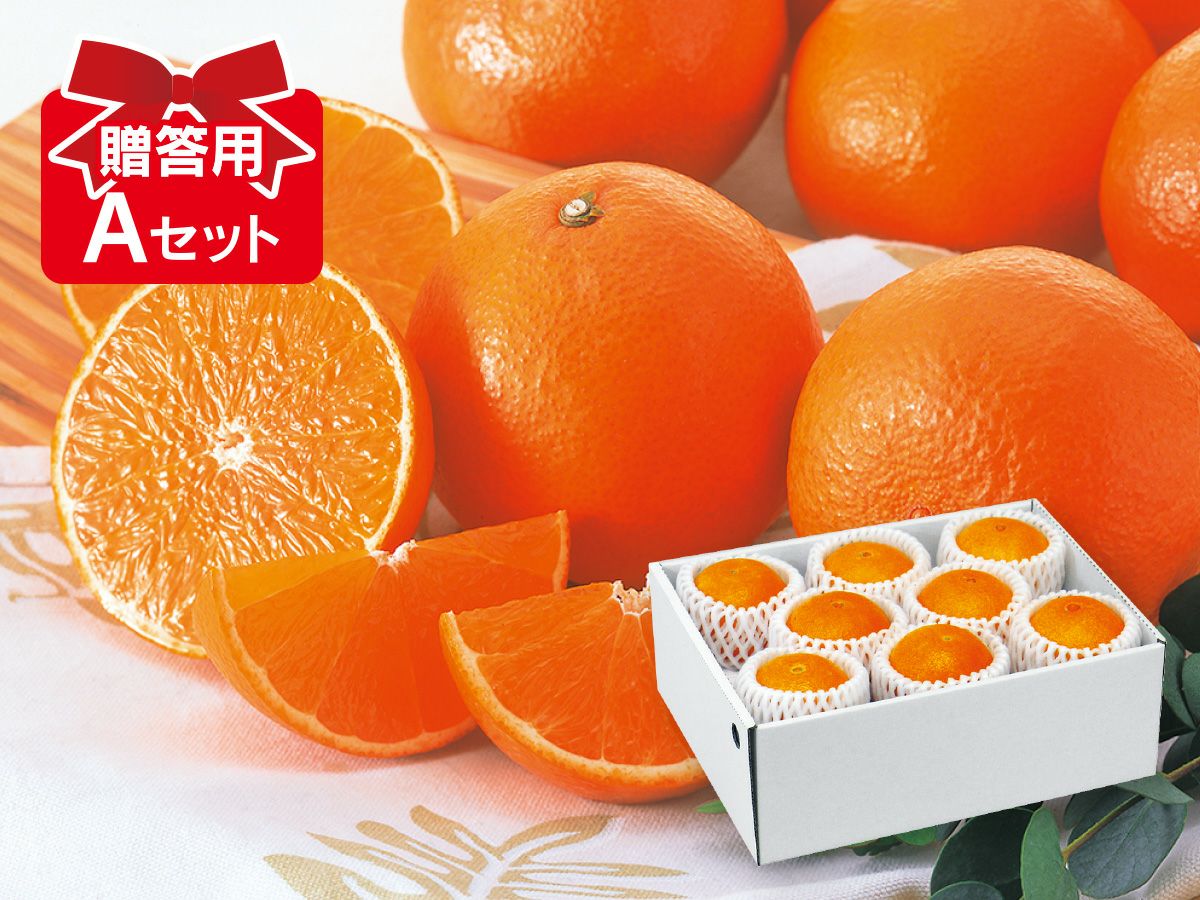 000000000597-04.jpg?size=xl&w=