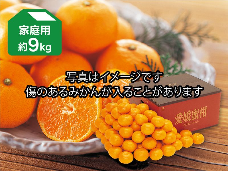 新口さんの権兵衛みかん約9kg | のま果樹園