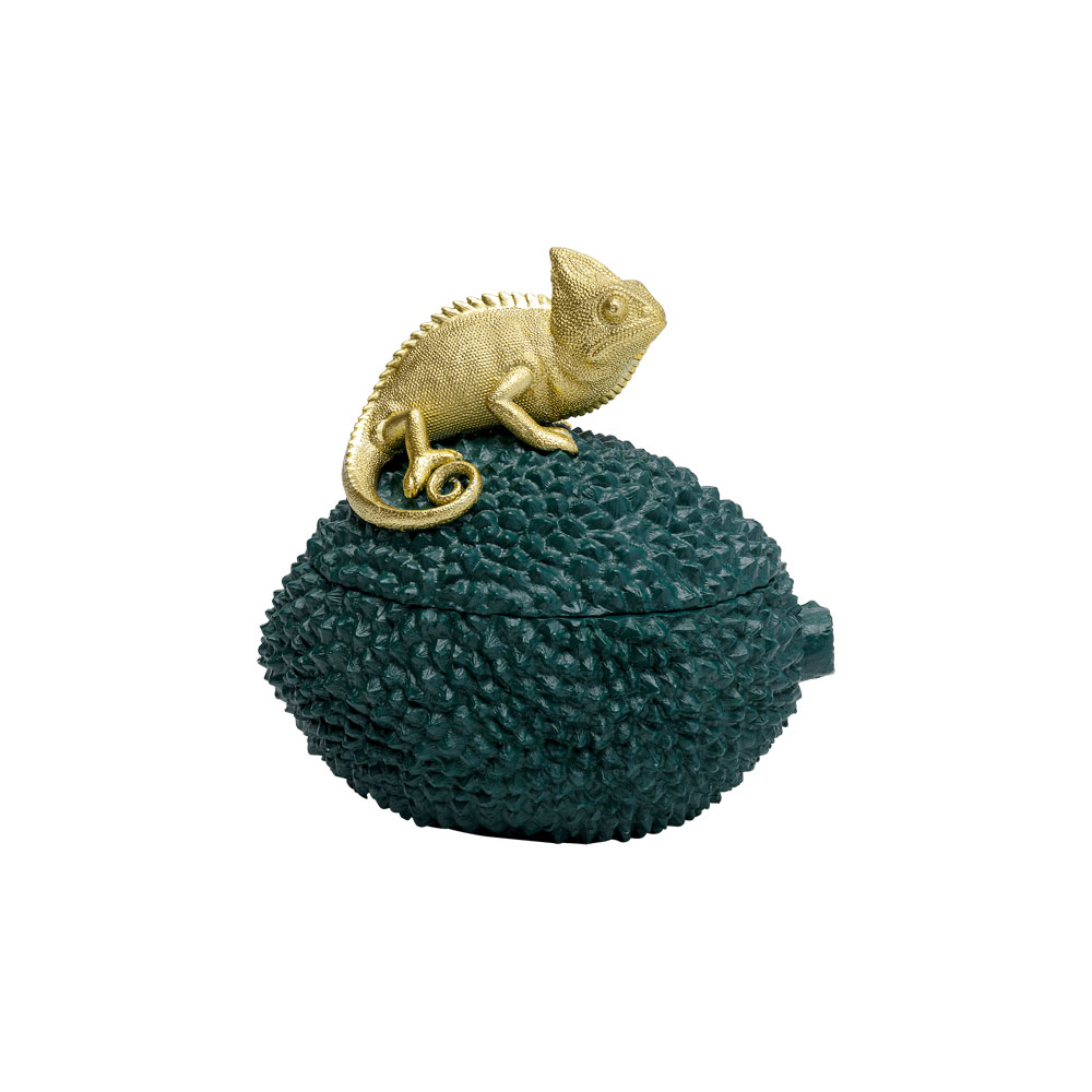 カメレオン デコボックス - 小物入れ・収納ケース・ボックスの通販