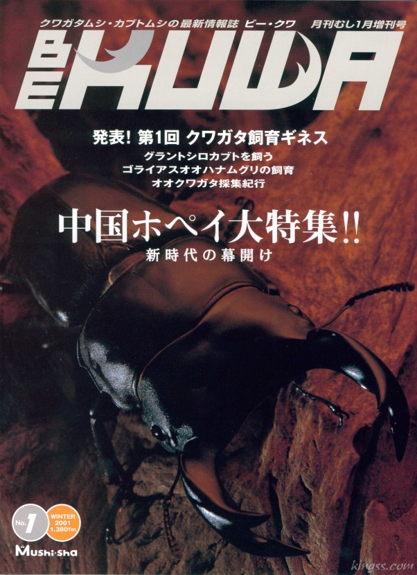 ビークワ1号（BE・KUWA） 中国ホペイ大特集