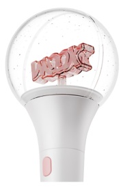 配達受取】イ・ドンウク 公式ペンライト（数量限定/予約販売）