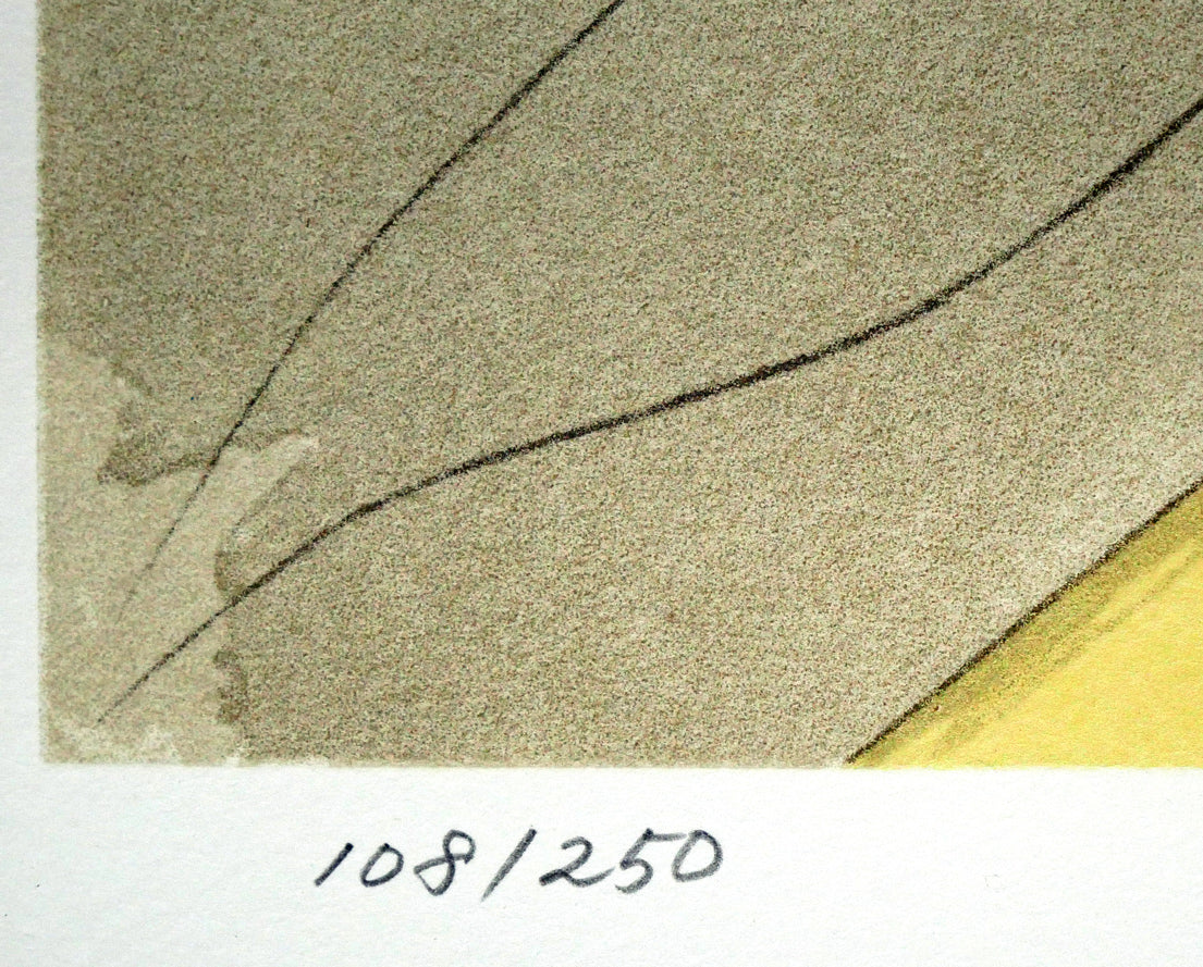 天野喜孝「彩」リトグラフ 絵画買取・販売の小竹美術