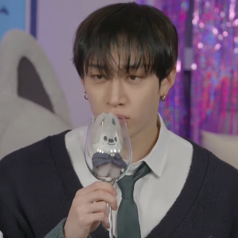 Stray Kids バンチャン Wolf Chan ウルフチャン ブランケット skzoo