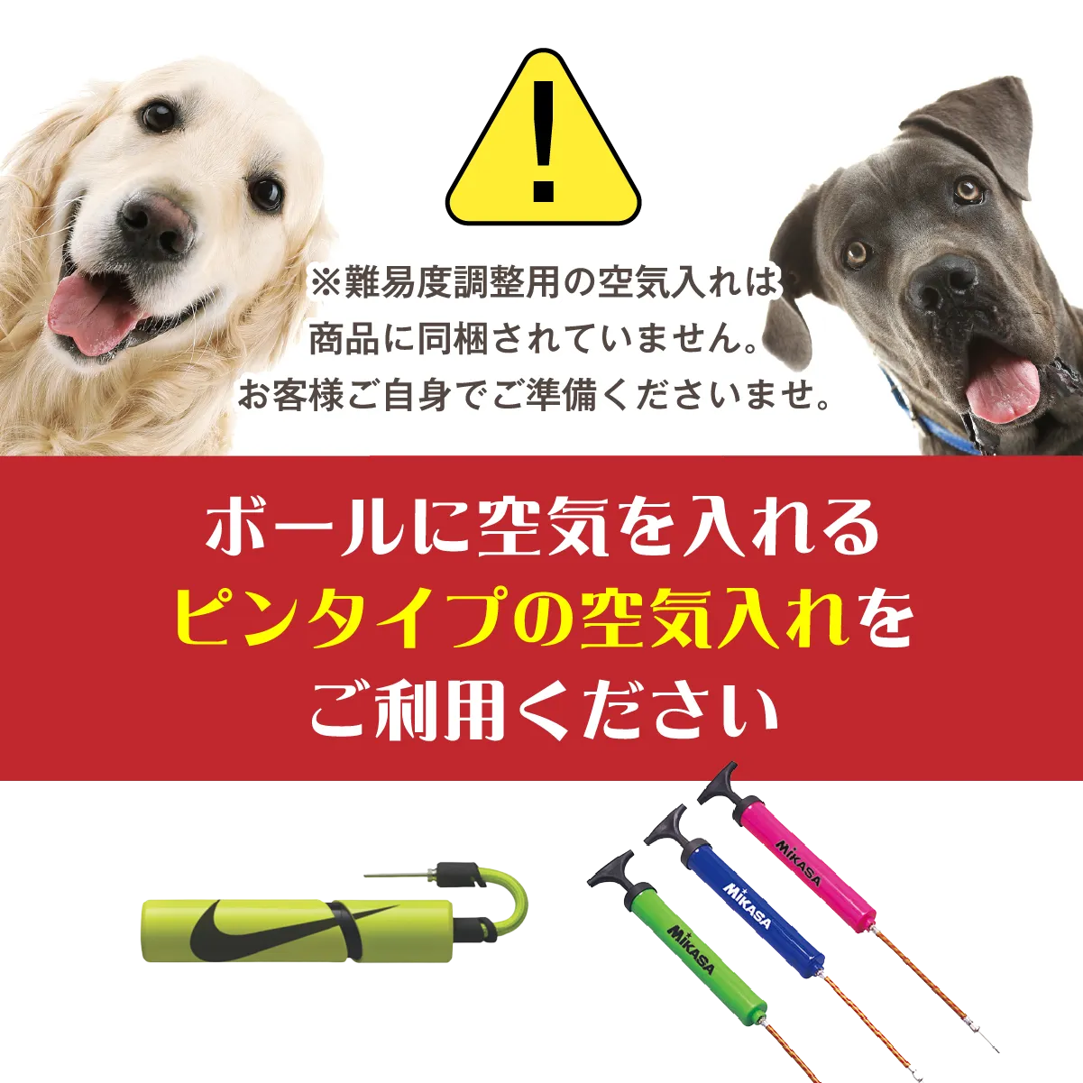 犬バランスボーンバランスボール空気入れ付き