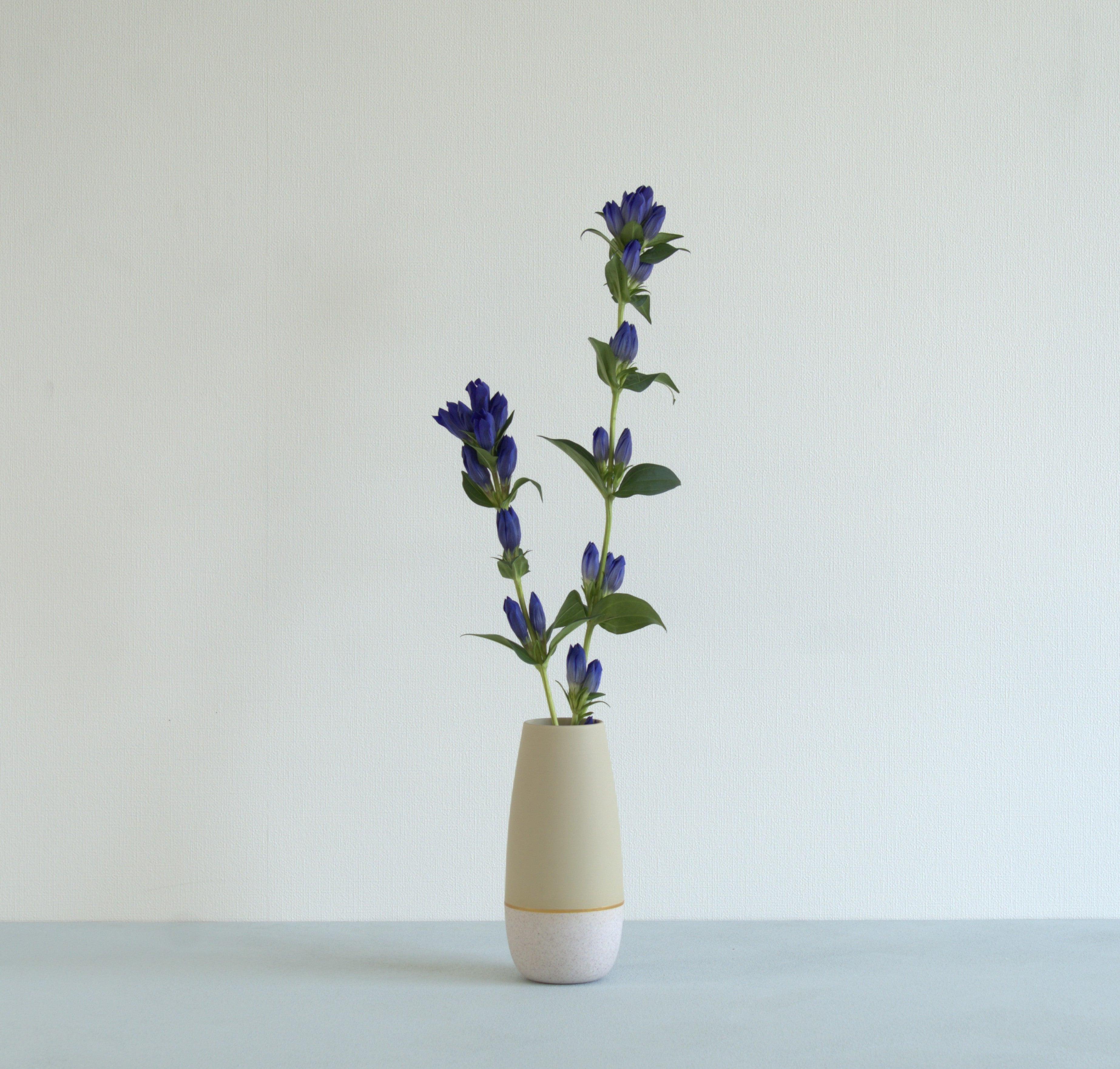 new】floral vessel – stone+｜ストーンプラス