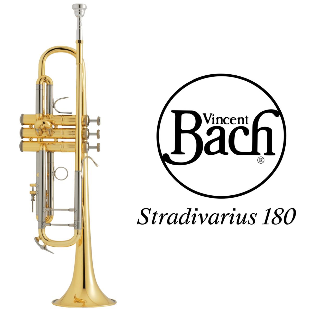 180ML37GL【新品】 | 【クロサワ楽器店オンラインショップ】いい楽器と