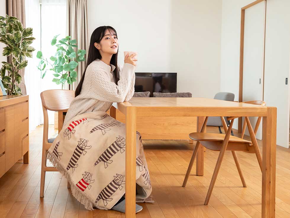 販売終了】電気毛布(ひざ掛け)リサ・ラーソン130x70cmKDH-L126