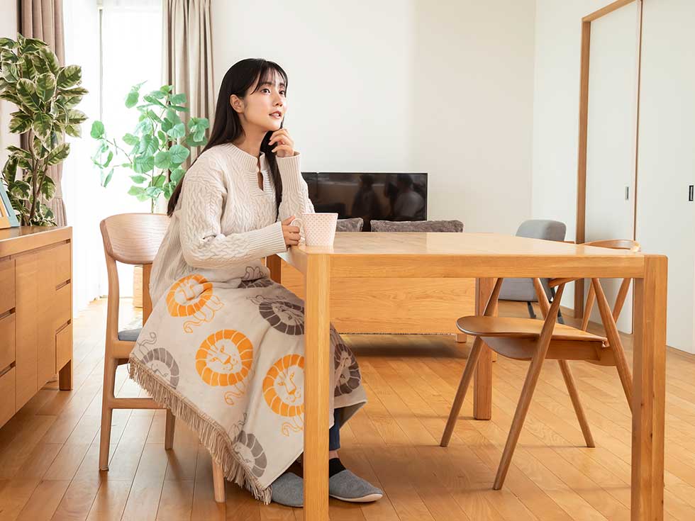 販売終了】電気毛布（ひざ掛け)リサ・ラーソン130x70cmKDH-L306