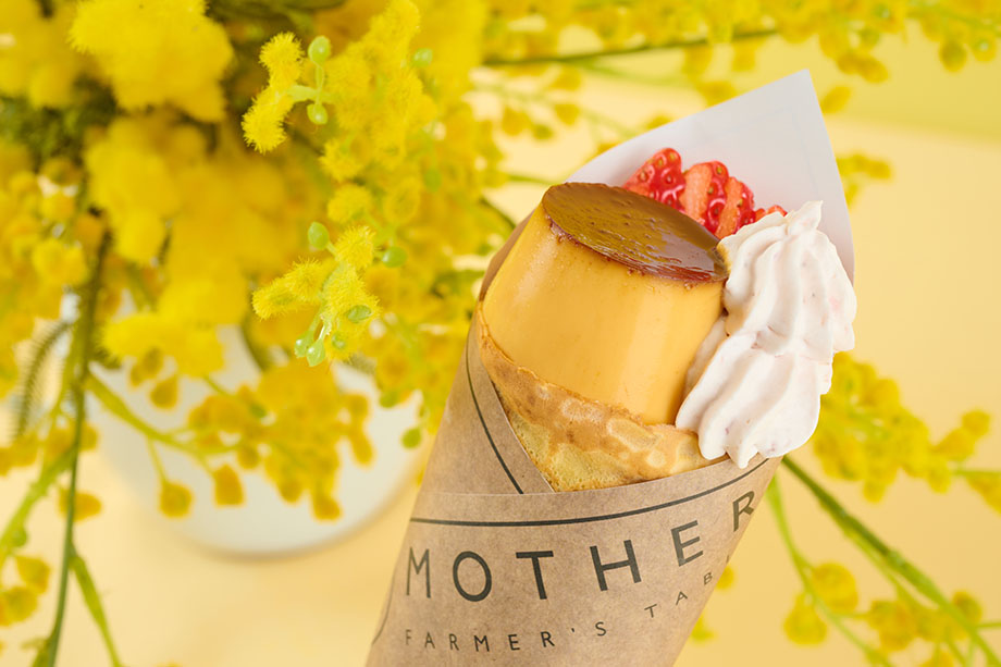 MIMOSA FAIR | MIMOSA FESTA 2024 大切な人にミモザの花を