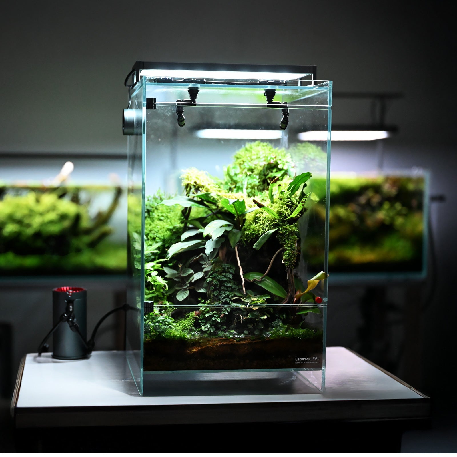 待望の新商品】スマートテラリウム LEDSTAR INFINITY HYLAEA