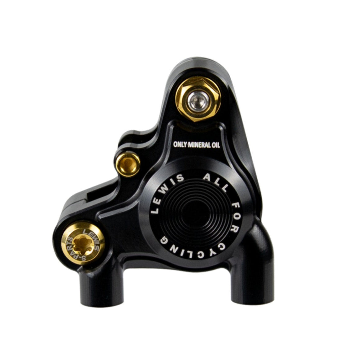 Lewis - BB2 SS Steel / BB2 Ti Road Gravel bike - flat mount