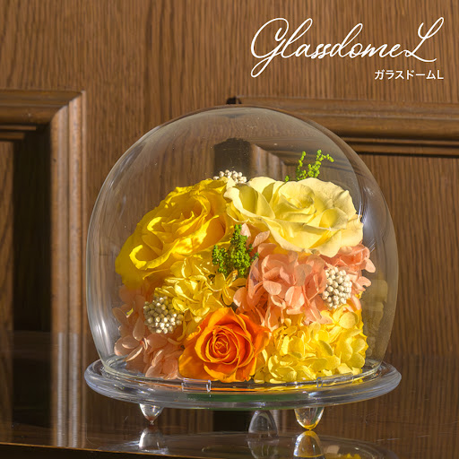 cDUSsnuZtpABmn-UAMSR-