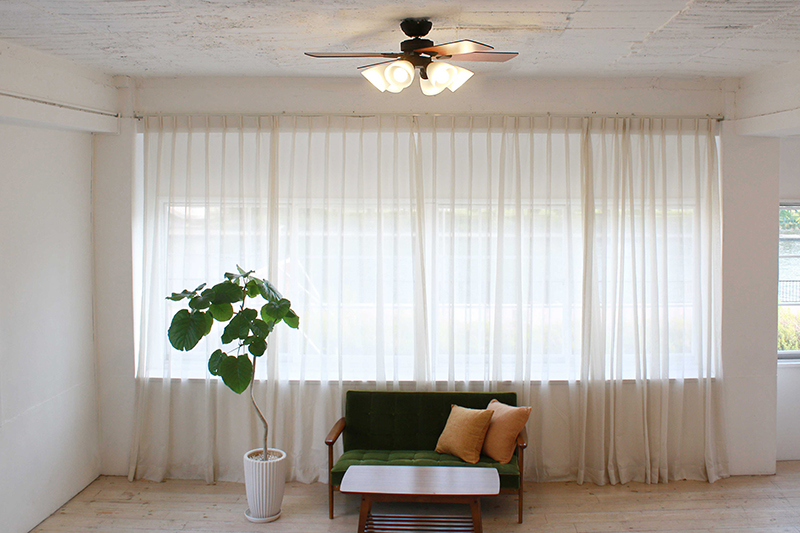 シーリングファン Windouble 6灯 BIG-102 | plusmore(プラスモア)