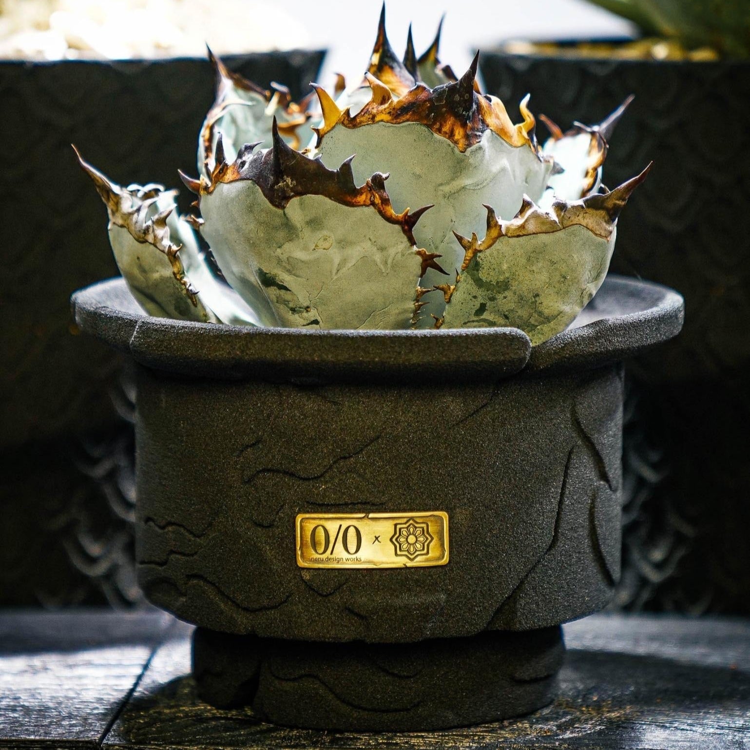 neru design works – ページ 5 – LOG