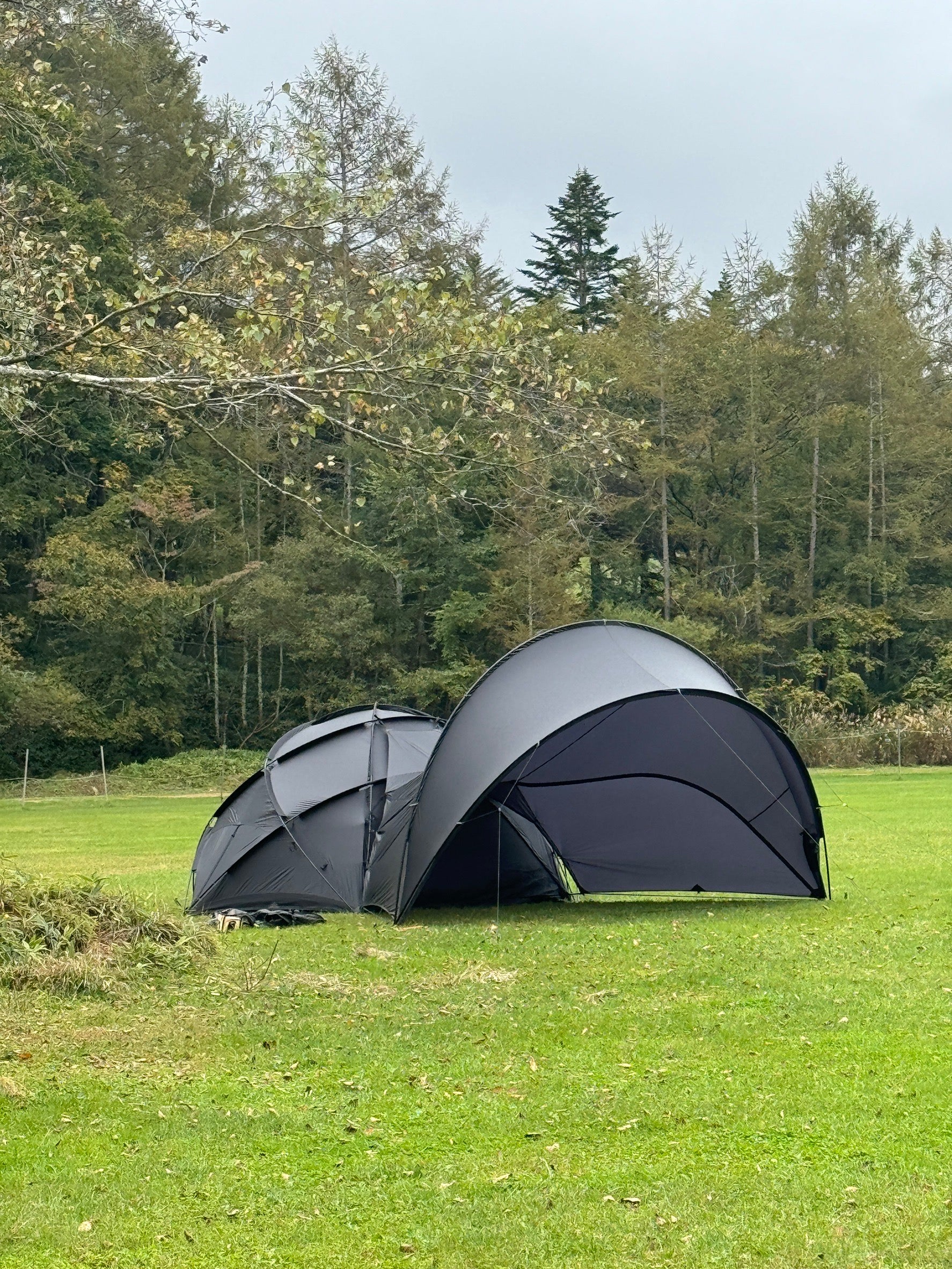 neru design works】 muku no deck TOPOカモ