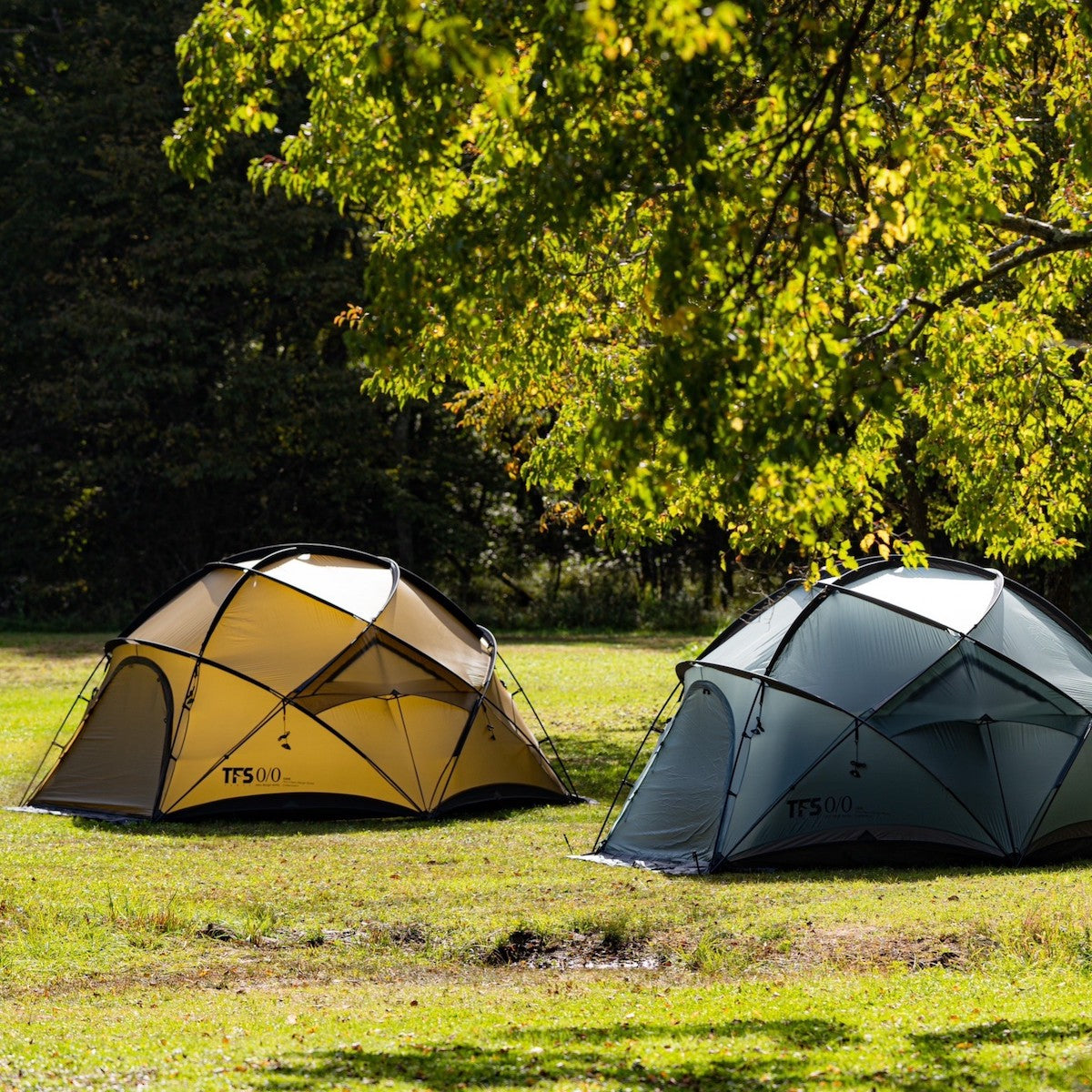 CAVE 着せ替え用シルナイロンver. サンド（在庫販売） – LOG