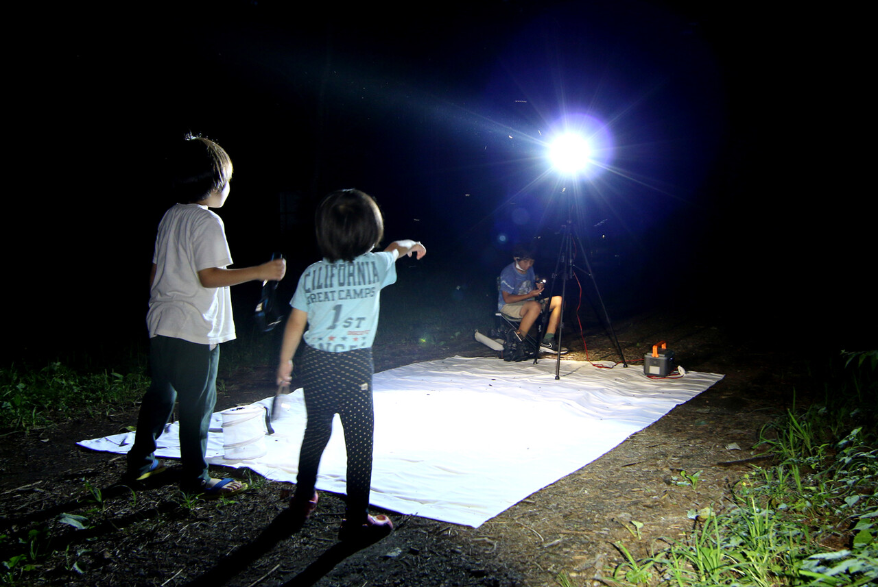 夏の楽しみ2倍！ 今峰製HIDライト2台目購入 : ありんこ日記 AntRoom