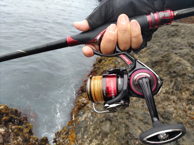 たかたか】ダイワ 22トーナメント競技 DAIWA（ダイワ） 22