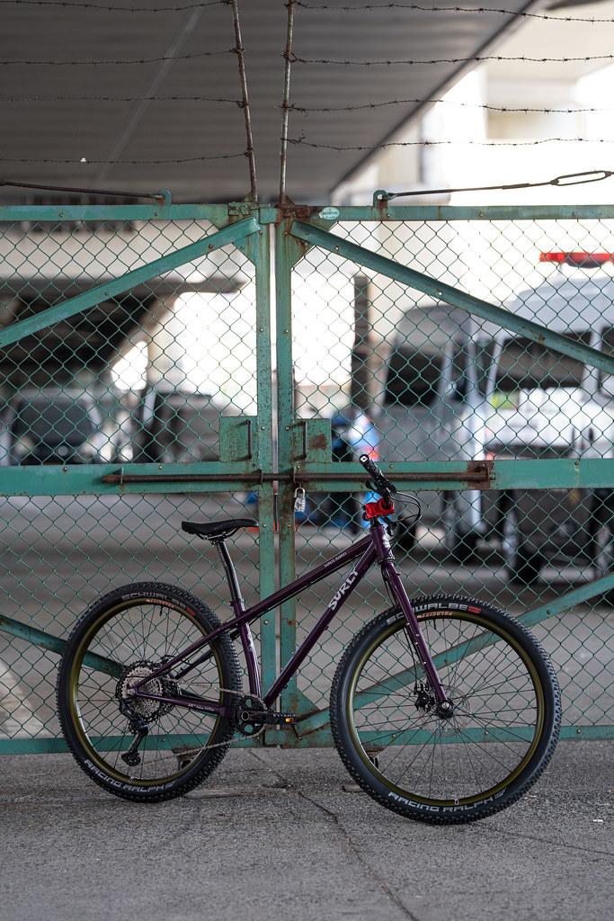 SURLY* karate monkey / BUILT BY BLUE LUG - CUSTOMER'S BIKE CATALOG